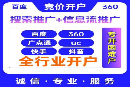 顶级SEM服务公司案例解析