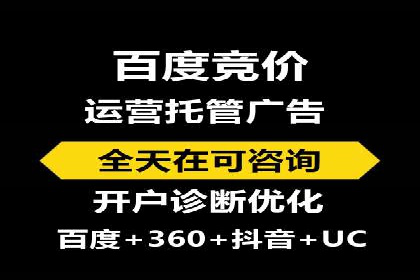 百度竞价广告案例分析：成功之道揭秘